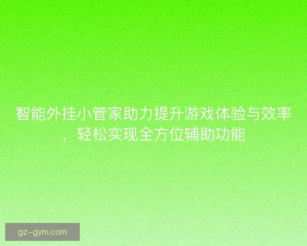 智能外挂小管家助力提升游戏体验与效率，轻松实现全方位辅助功能