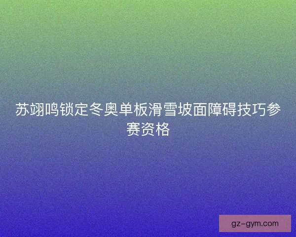 苏翊鸣锁定冬奥单板滑雪坡面障碍技巧参赛资格